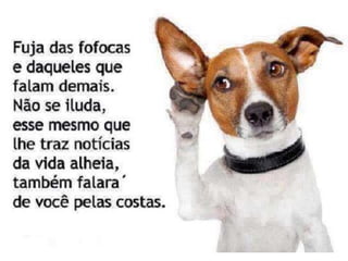 Atitude - Uma Questão Pessoal