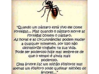 Atitude - Uma Questão Pessoal