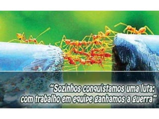 Atitude - Uma Questão Pessoal