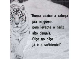 Atitude - Uma Questão Pessoal