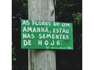 Atitude - Uma Questão Pessoal