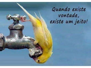 Atitude - Uma Questão Pessoal