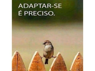 Atitude - Uma Questão Pessoal