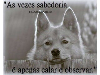 Atitude - Uma Questão Pessoal