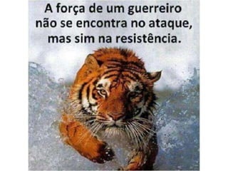 Atitude - Uma Questão Pessoal