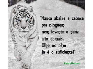 Atitude - Uma Questão Pessoal