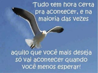 Atitude - Uma Questão Pessoal