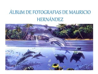 ÁLBUM DE FOTOGRAFIAS DE MAURICIO
HERNÁNDEZ
por Eugenia
 