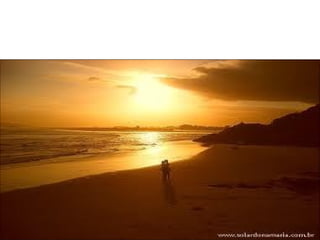 áLbum de fotografiasjo