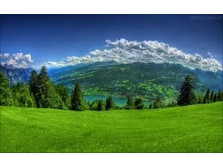 áLbum de fotografiasjo