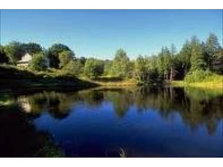 áLbum de fotografiasjo