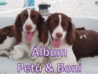 Álbum de fotos de Petu y Boni