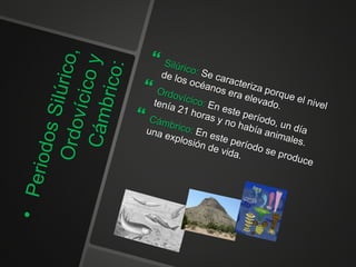 Álbum de Paleontología