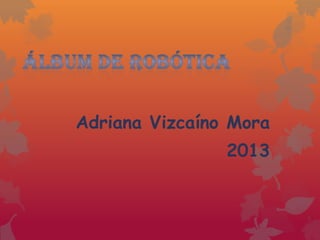 Adriana Vizcaíno Mora
2013
 