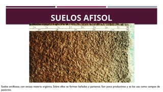 Álbum de Suelos y los tipos de suelos existentes | PPTX