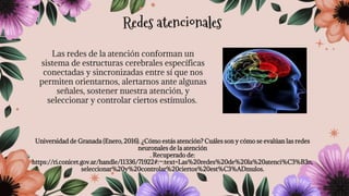 Las redes de la atención conforman un
sistema de estructuras cerebrales específicas
conectadas y sincronizadas entre sí que nos
permiten orientarnos, alertarnos ante algunas
señales, sostener nuestra atención, y
seleccionar y controlar ciertos estímulos.
Universidad de Granada (Enero, 2016). ¿Cómo estás atención? Cuáles son y cómo se evalúan las redes
neuronales de la atención
. Recuperado de:
https://ri.conicet.gov.ar/handle/11336/71922#:~:text=Las%20redes%20de%20la%20atenci%C3%B3n,
seleccionar%20y%20controlar%20ciertos%20est%C3%ADmulos.
Redes atencionales
 