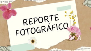 Álbum fotografíco de plantas curativas .pdf