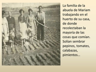 La familia de la
abuela de Mariam
trabajando en el
huerto de su casa,
de donde
recolectaban la
mayoría de las
cosas que comían.
Solían sembrar
pepinos, tomates,
calabazas,
pimientos…
 