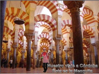 áLbum fotos viajeswally