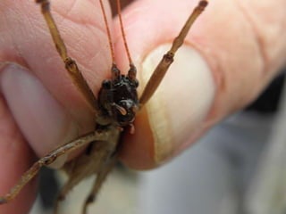 Horto Florestal 04/05/11