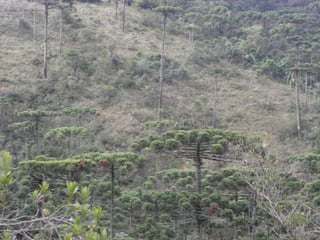 Horto Florestal 04/05/11