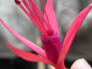 Horto Florestal 04/05/11