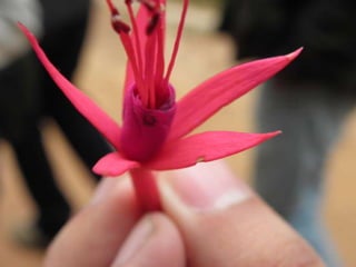 Horto Florestal 04/05/11