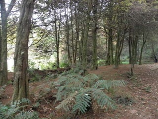 Horto Florestal 04/05/11