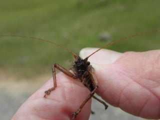 Horto Florestal 04/05/11