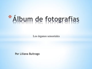 Los órganos sensoriales
Por Liliana Buitrago
*
 