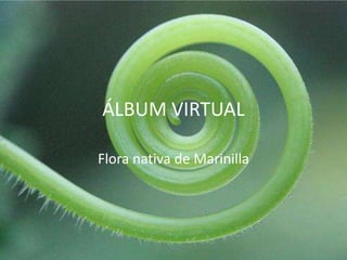 ÁLBUM VIRTUAL Flora nativa de Marinilla 
