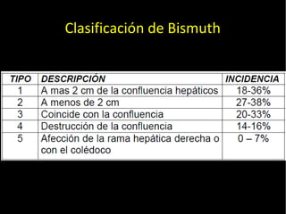 20/01/14
Clasificación de Bismuth
 