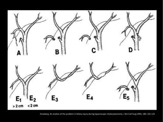 20/01/14 Strasberg. An analisis of the problem in biliary injury during laparoscopic cholecystectomy. J Am Coll Surg 1995; 180: 101-125
 