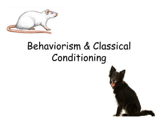 Behaviorism & Classical Conditioning  