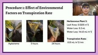 Transpiration Supplement Lab LBYBION-Post-Lab-3 Botany Plant Transpiration Presentation | PDF