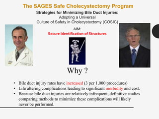 The SAGES Safe Cholecystectomy Program
Strategies for Minimizing Bile Duct Injuries:
Adopting a Universal
Culture of Safety in Cholecystectomy (COSIC)
Why ?
• Bile duct injury rates have increased (3 per 1,000 procedures)
• Life altering complications leading to significant morbidity and cost.
• Because bile duct injuries are relatively infrequent, definitive studies
comparing methods to minimize these complications will likely
never be performed.
AIM:
Secure Identification of Structures
 