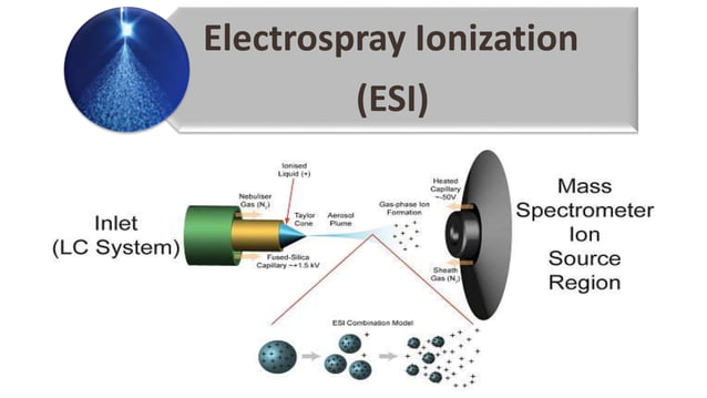 Liquid Chromatography-Mass Spectrometry (LC-MS) | PPTX