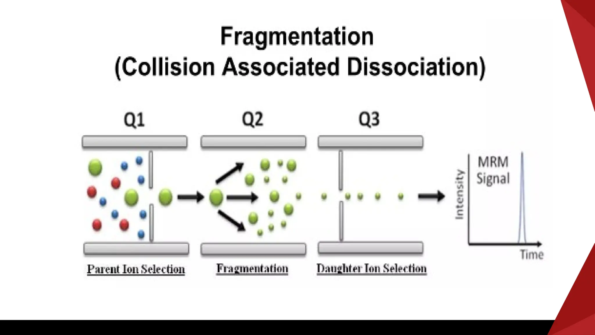 Liquid chromatography mass spectrometry LC-MS/MS | PPTX