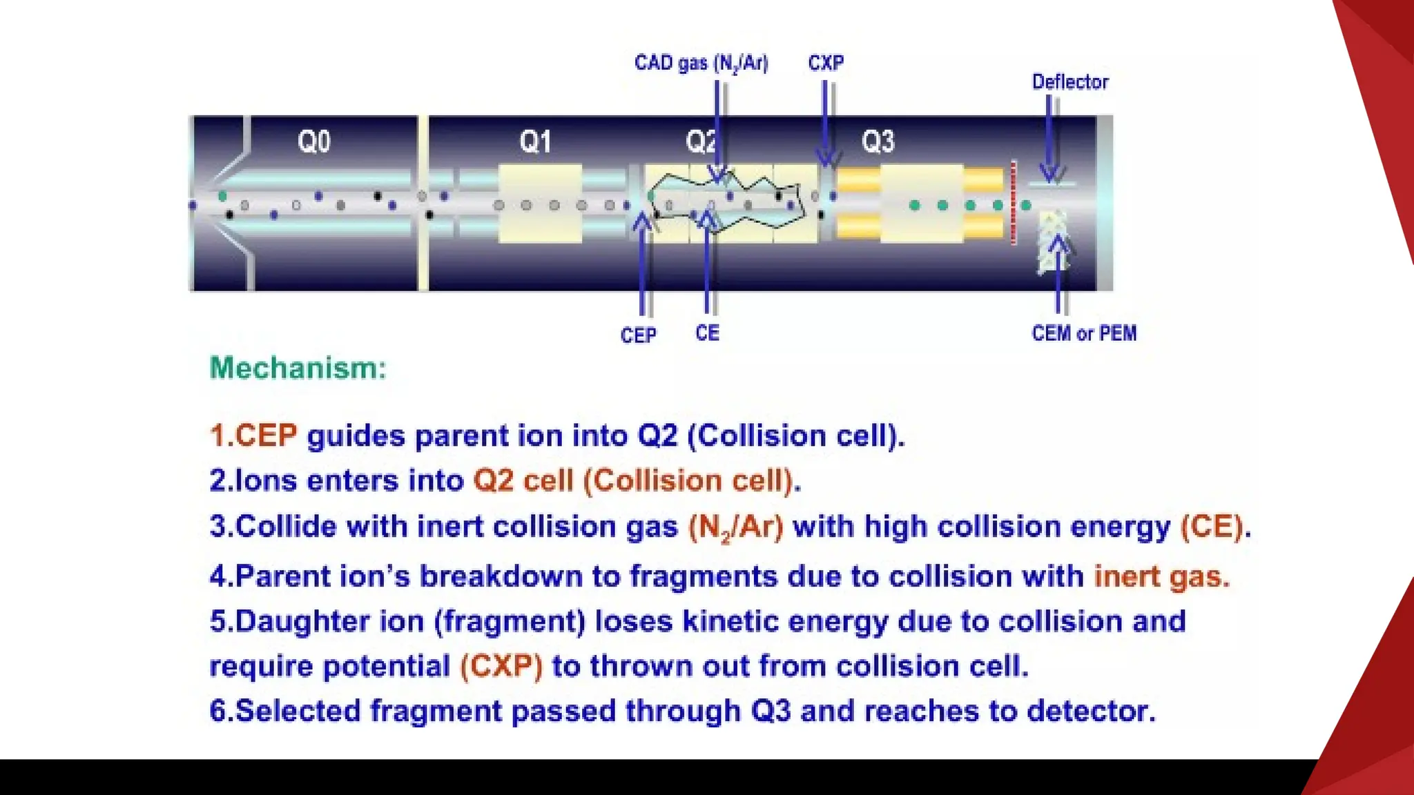 Liquid chromatography mass spectrometry LC-MS/MS | PPTX
