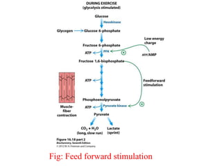 Fig: Feed forward stimulation
 