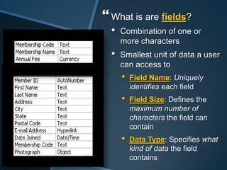 Database Processing System