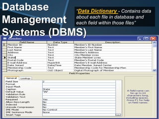 Data HierarchyFIELDSRECORDSUCFILESD1FCHARACTERSDATABASE11
