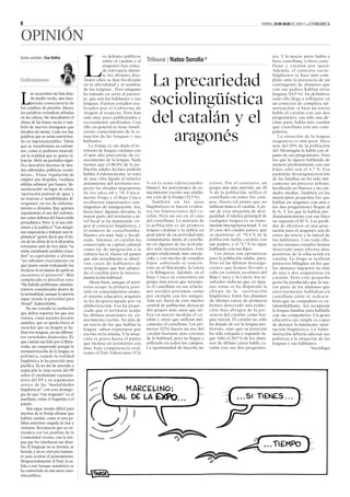 Llei de llengües 4 - La Comarca