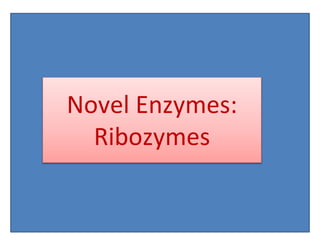 Classification of Ribozyme | PPTX
