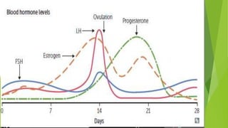 Biochemistry of Endocrine Glands | PPTX