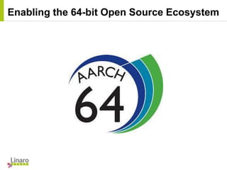 Enabling the 64-bit Open Source Ecosystem
 