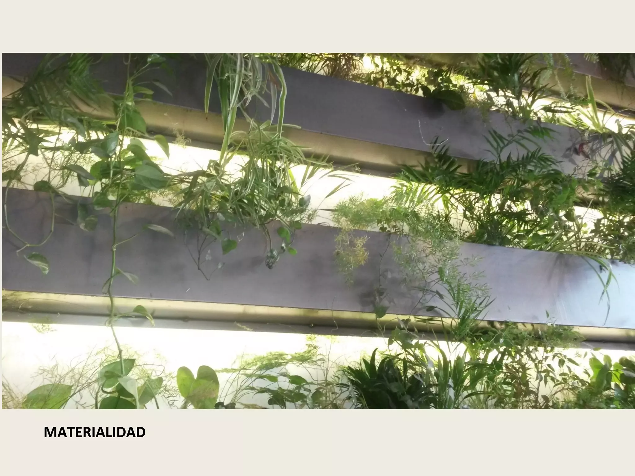 MATERIALIDAD
 