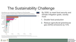 Assessment of the environmental sustainability of plant-based meat and pork: Opportunities for improved sustainability practices in the industry