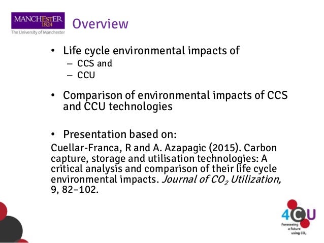 The shawl characters image