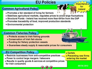 EU Policies

 